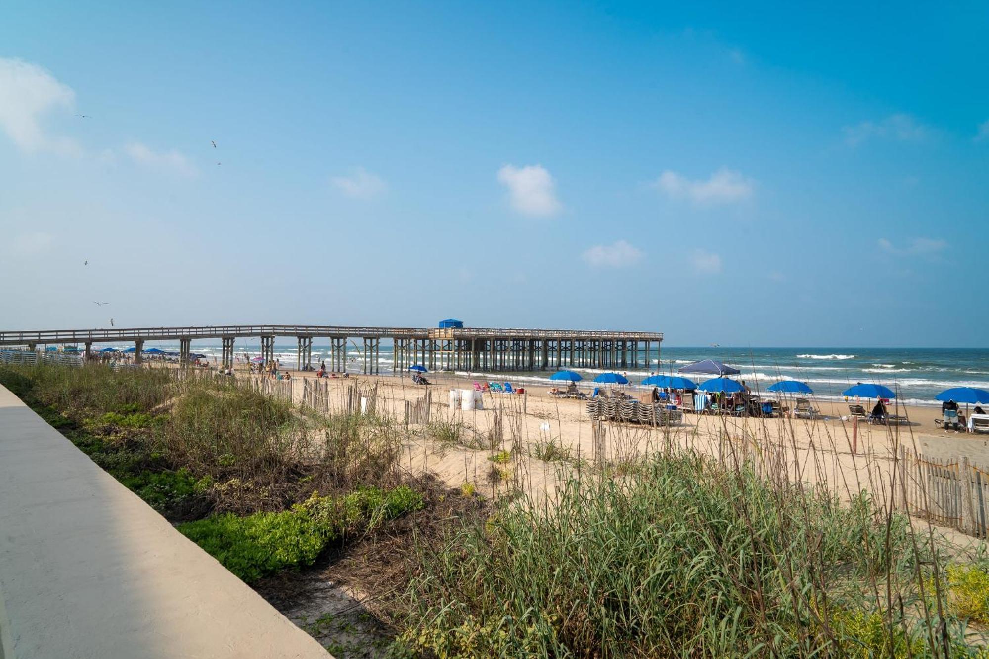 Kingfishers Retreat Serene 1Br Escape With Balcony 207 South Padre Island Eksteriør bilde